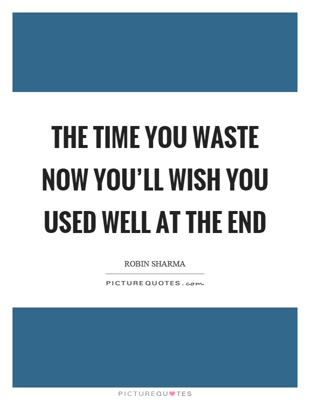 The time you waste now you'll wish you used well at the end Picture Quote #1