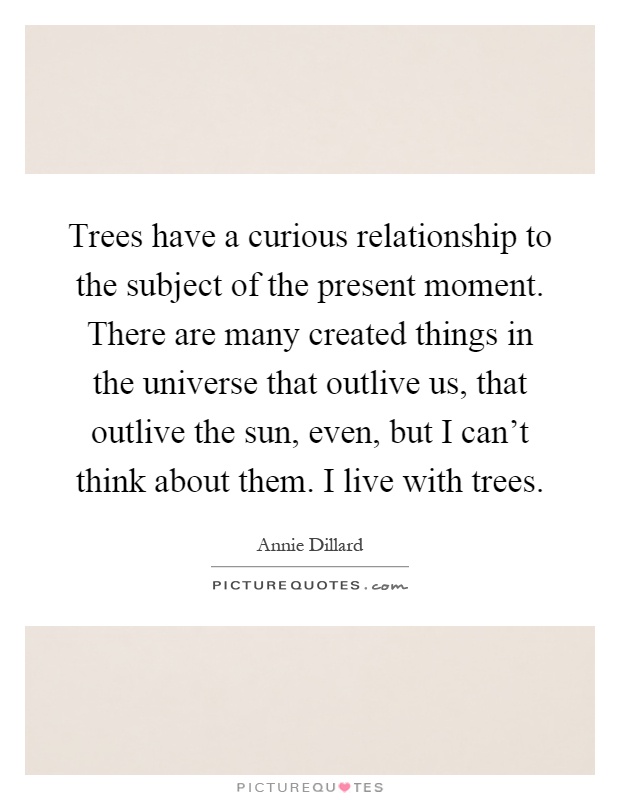 Trees have a curious relationship to the subject of the present moment. There are many created things in the universe that outlive us, that outlive the sun, even, but I can't think about them. I live with trees Picture Quote #1