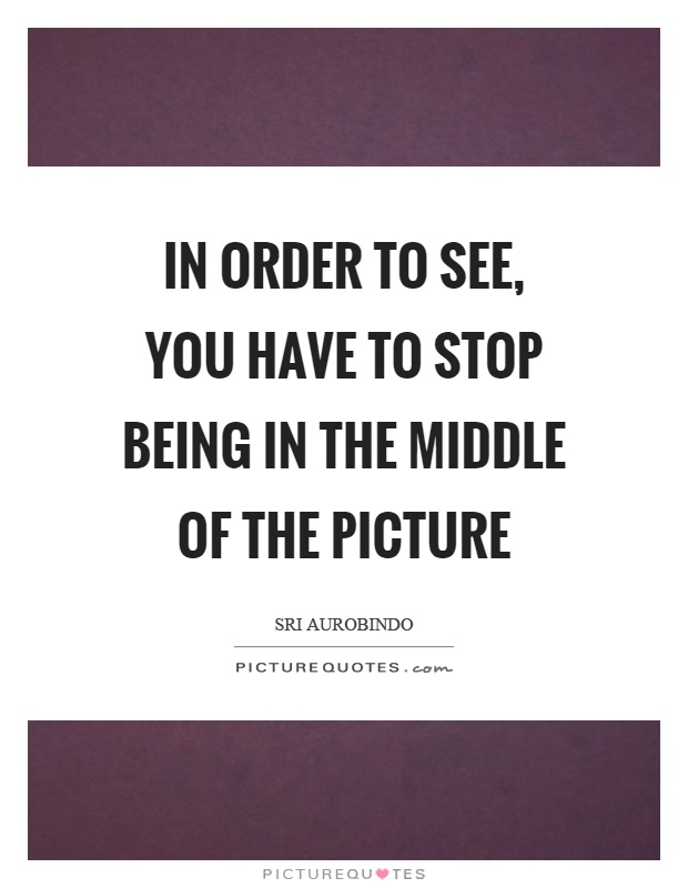 In order to see, you have to stop being in the middle of the picture Picture Quote #1