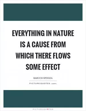 Everything in nature is a cause from which there flows some effect Picture Quote #1