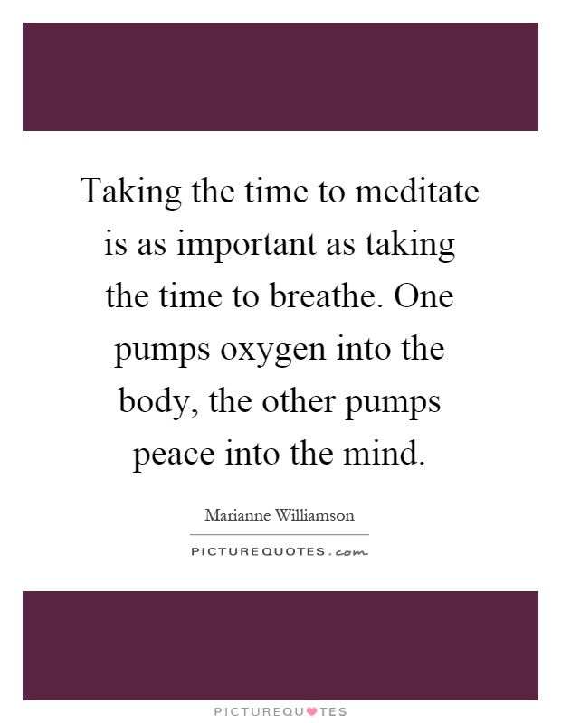 Taking the time to meditate is as important as taking the time to breathe. One pumps oxygen into the body, the other pumps peace into the mind Picture Quote #1