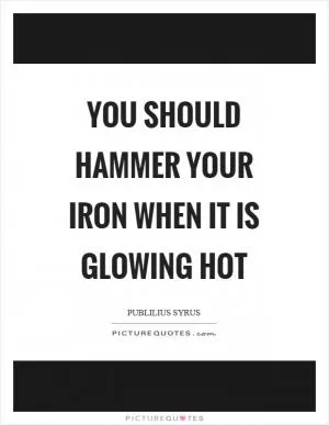 You should hammer your iron when it is glowing hot Picture Quote #1