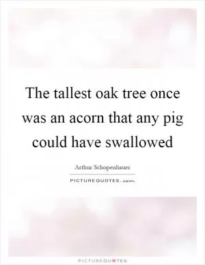 The tallest oak tree once was an acorn that any pig could have swallowed Picture Quote #1