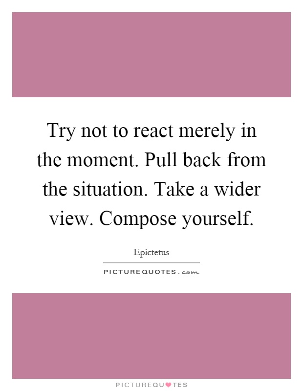 Try not to react merely in the moment. Pull back from the situation. Take a wider view. Compose yourself Picture Quote #1