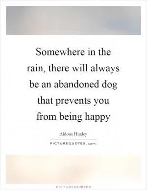 Somewhere in the rain, there will always be an abandoned dog that prevents you from being happy Picture Quote #1