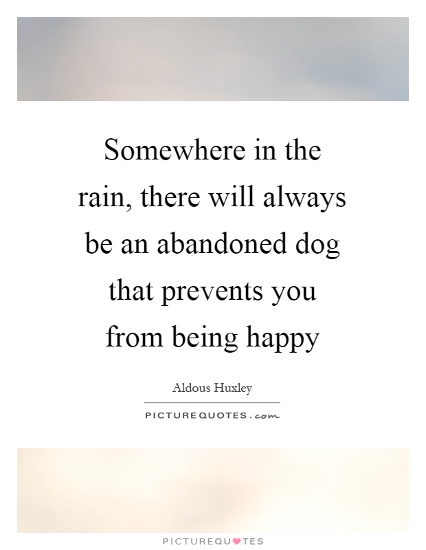 Somewhere in the rain, there will always be an abandoned dog that prevents you from being happy Picture Quote #1