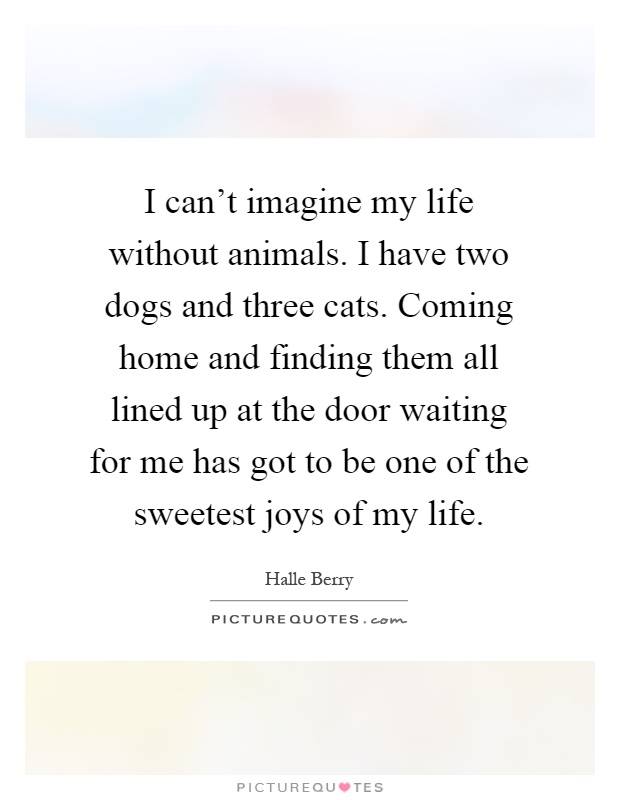 I can't imagine my life without animals. I have two dogs and three cats. Coming home and finding them all lined up at the door waiting for me has got to be one of the sweetest joys of my life Picture Quote #1