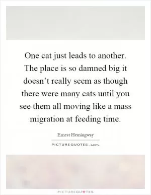One cat just leads to another. The place is so damned big it doesn’t really seem as though there were many cats until you see them all moving like a mass migration at feeding time Picture Quote #1