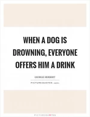 When a dog is drowning, everyone offers him a drink Picture Quote #1
