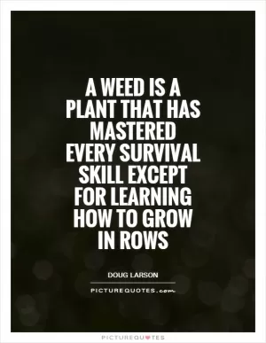 A weed is a plant that has mastered every survival skill except for learning how to grow in rows Picture Quote #1