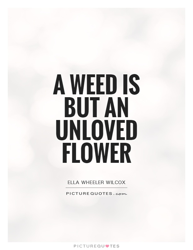 A weed is but an unloved flower Picture Quote #1