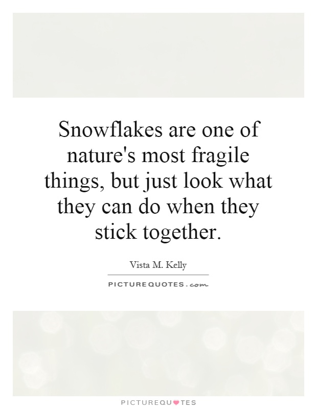 Snowflakes are one of nature's most fragile things, but just look what they can do when they stick together Picture Quote #1