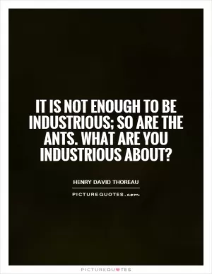 It is not enough to be industrious; so are the ants. What are you industrious about? Picture Quote #1