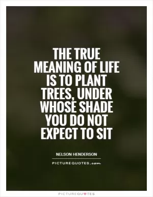 The true meaning of life is to plant trees, under whose shade you do not expect to sit Picture Quote #1