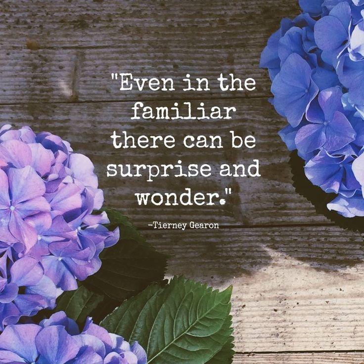Even in the familiar there can be surprise and wonder Picture Quote #1