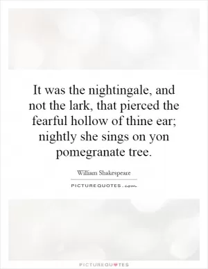 It was the nightingale, and not the lark, that pierced the fearful hollow of thine ear; nightly she sings on yon pomegranate tree Picture Quote #1