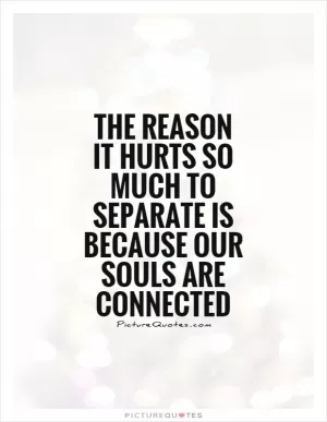 The reason it hurts so much to separate is because our souls are connected Picture Quote #1