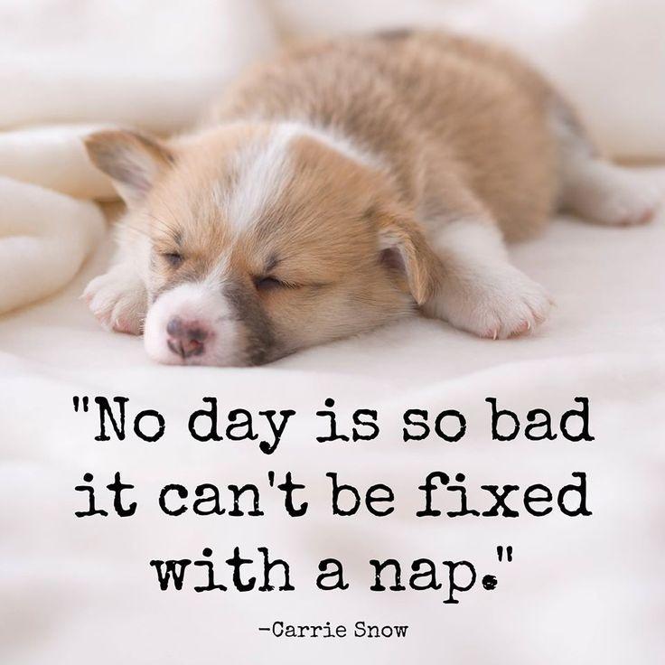 No day is so bad it can't be fixed with a nap Picture Quote #1