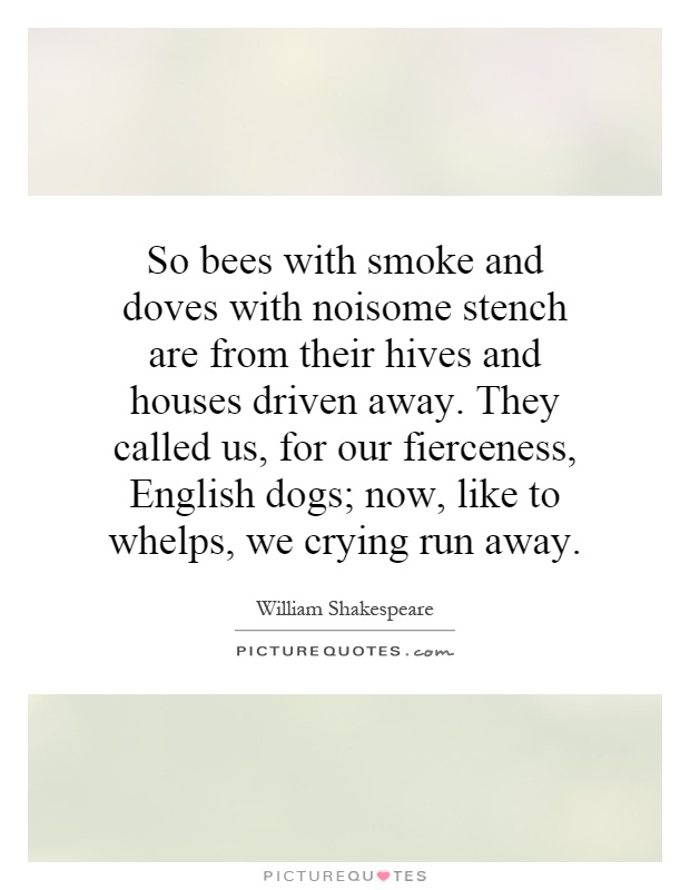 So bees with smoke and doves with noisome stench are from their hives and houses driven away. They called us, for our fierceness, English dogs; now, like to whelps, we crying run away Picture Quote #1
