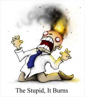 The stupid, it burns Picture Quote #1