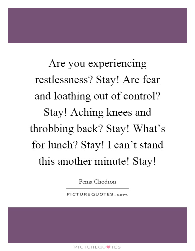 Are you experiencing restlessness? Stay! Are fear and loathing out of control? Stay! Aching knees and throbbing back? Stay! What's for lunch? Stay! I can't stand this another minute! Stay! Picture Quote #1