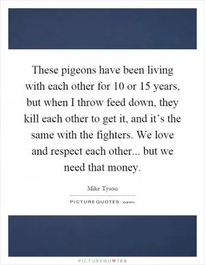 These pigeons have been living with each other for 10 or 15 years, but when I throw feed down, they kill each other to get it, and it’s the same with the fighters. We love and respect each other... but we need that money Picture Quote #1