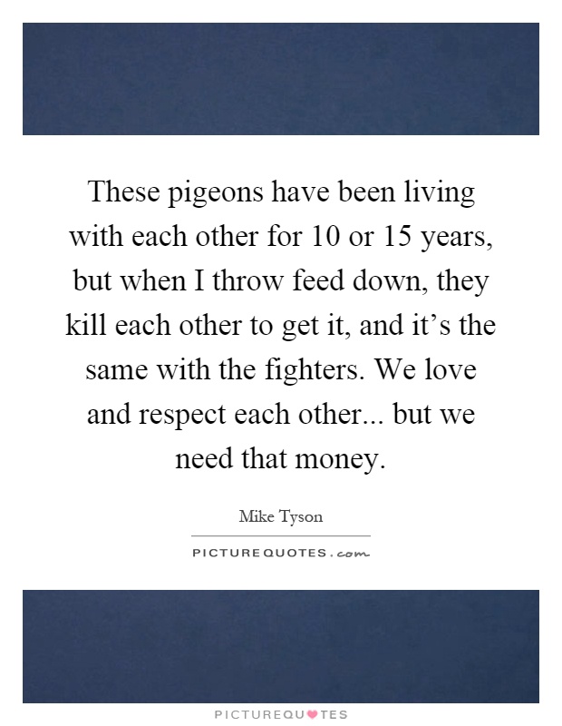 These pigeons have been living with each other for 10 or 15 years, but when I throw feed down, they kill each other to get it, and it's the same with the fighters. We love and respect each other... but we need that money Picture Quote #1