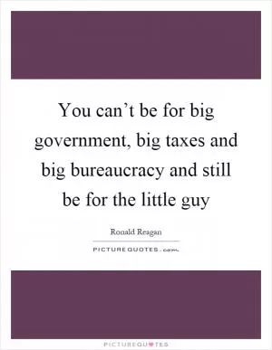 You can’t be for big government, big taxes and big bureaucracy and still be for the little guy Picture Quote #1