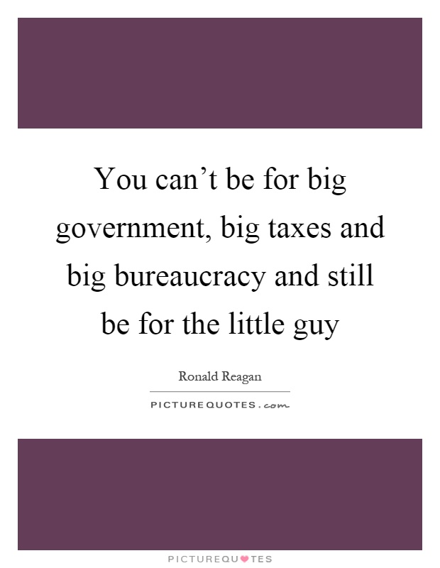 You can't be for big government, big taxes and big bureaucracy and still be for the little guy Picture Quote #1