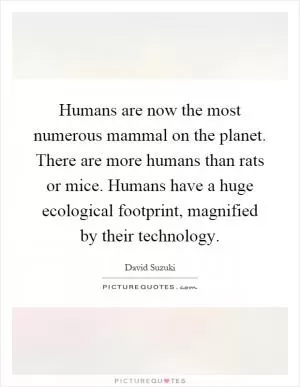 Humans are now the most numerous mammal on the planet. There are more humans than rats or mice. Humans have a huge ecological footprint, magnified by their technology Picture Quote #1