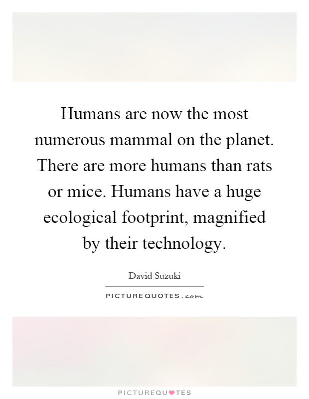 Humans are now the most numerous mammal on the planet. There are more humans than rats or mice. Humans have a huge ecological footprint, magnified by their technology Picture Quote #1