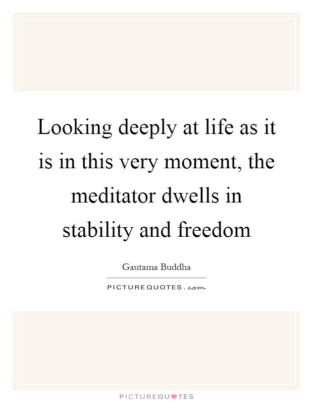 Looking deeply at life as it is in this very moment, the meditator dwells in stability and freedom Picture Quote #1