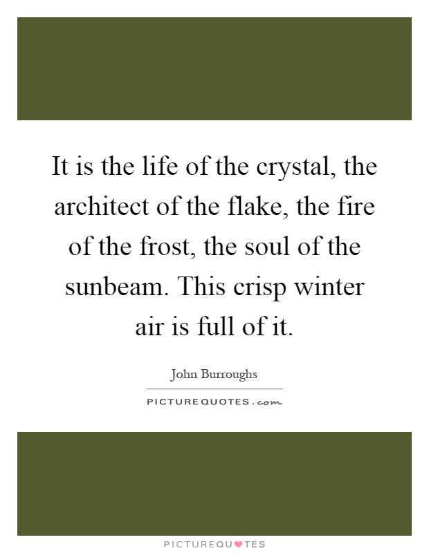 It is the life of the crystal, the architect of the flake, the fire of the frost, the soul of the sunbeam. This crisp winter air is full of it Picture Quote #1