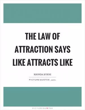 The law of attraction says like attracts like Picture Quote #1