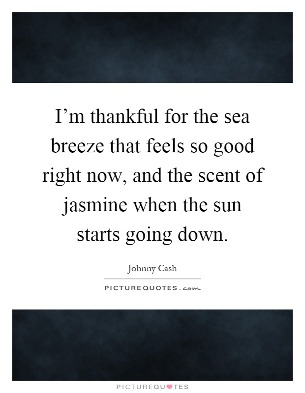 I'm thankful for the sea breeze that feels so good right now, and the scent of jasmine when the sun starts going down Picture Quote #1
