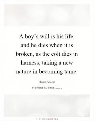 A boy’s will is his life, and he dies when it is broken, as the colt dies in harness, taking a new nature in becoming tame Picture Quote #1