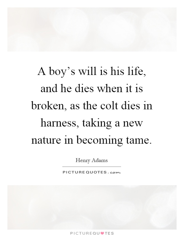 A boy's will is his life, and he dies when it is broken, as the colt dies in harness, taking a new nature in becoming tame Picture Quote #1