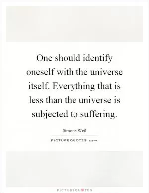 One should identify oneself with the universe itself. Everything that is less than the universe is subjected to suffering Picture Quote #1