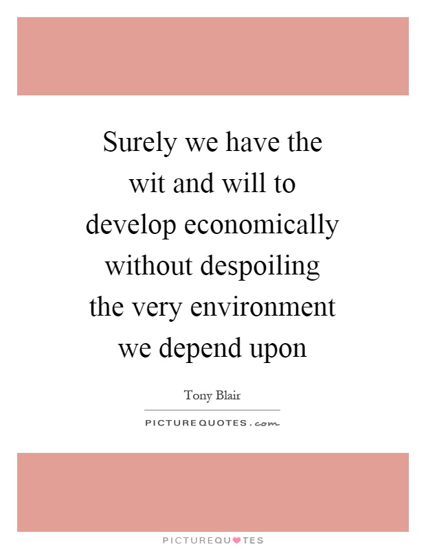 Surely we have the wit and will to develop economically without despoiling the very environment we depend upon Picture Quote #1