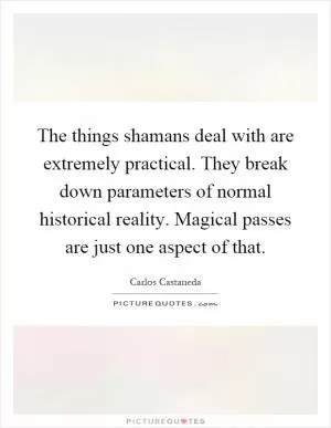 The things shamans deal with are extremely practical. They break down parameters of normal historical reality. Magical passes are just one aspect of that Picture Quote #1