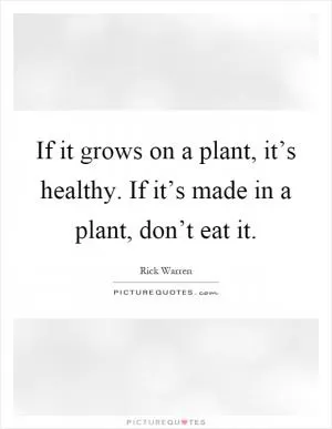If it grows on a plant, it’s healthy. If it’s made in a plant, don’t eat it Picture Quote #1