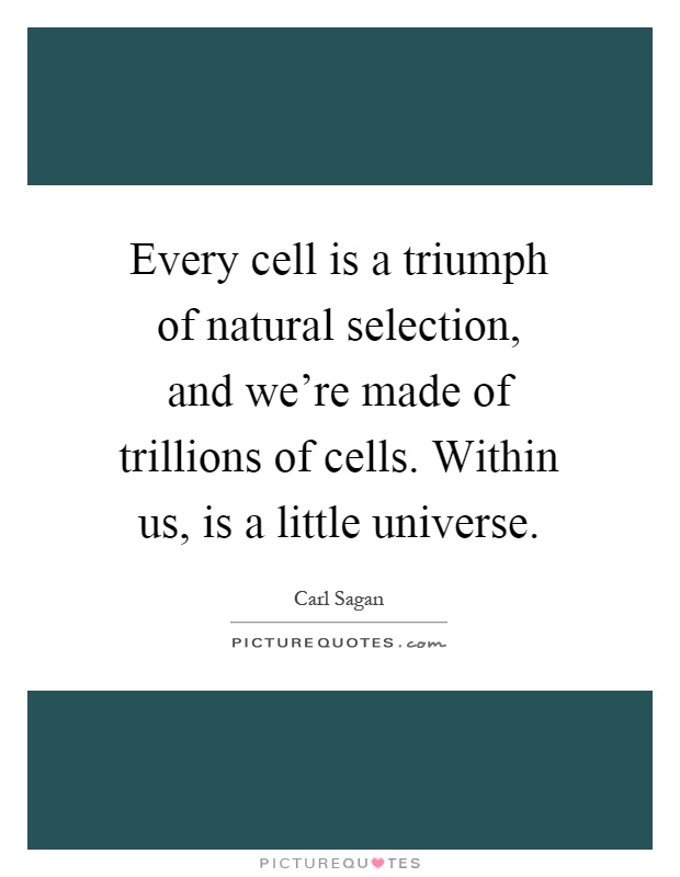 Every cell is a triumph of natural selection, and we're made of trillions of cells. Within us, is a little universe Picture Quote #1