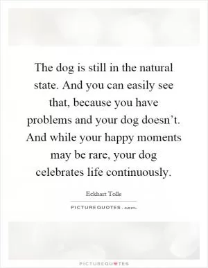 The dog is still in the natural state. And you can easily see that, because you have problems and your dog doesn’t. And while your happy moments may be rare, your dog celebrates life continuously Picture Quote #1