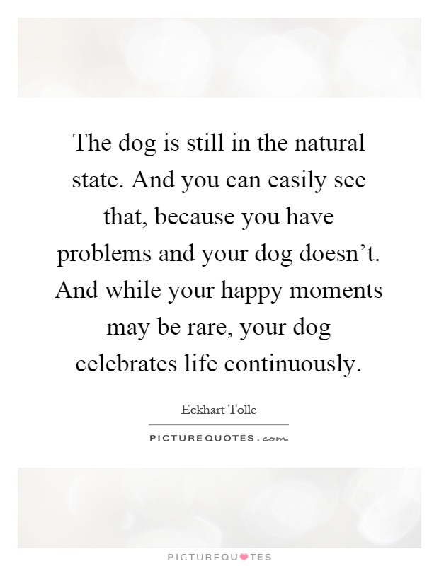 The dog is still in the natural state. And you can easily see that, because you have problems and your dog doesn't. And while your happy moments may be rare, your dog celebrates life continuously Picture Quote #1