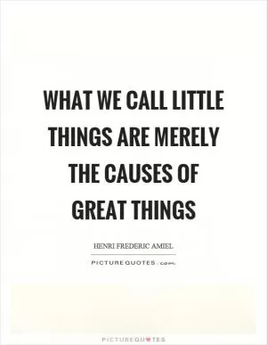 What we call little things are merely the causes of great things Picture Quote #1