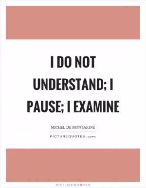I do not understand; I pause; I examine Picture Quote #1