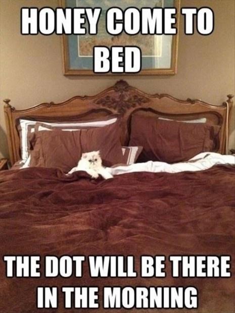 Honey come to bed, the dot will be there in the morning Picture Quote #1