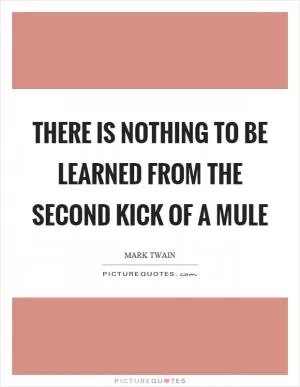 There is nothing to be learned from the second kick of a mule Picture Quote #1