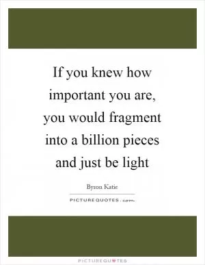 If you knew how important you are, you would fragment into a billion pieces and just be light Picture Quote #1
