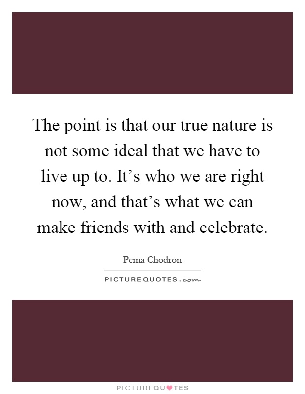 The point is that our true nature is not some ideal that we have to live up to. It's who we are right now, and that's what we can make friends with and celebrate Picture Quote #1
